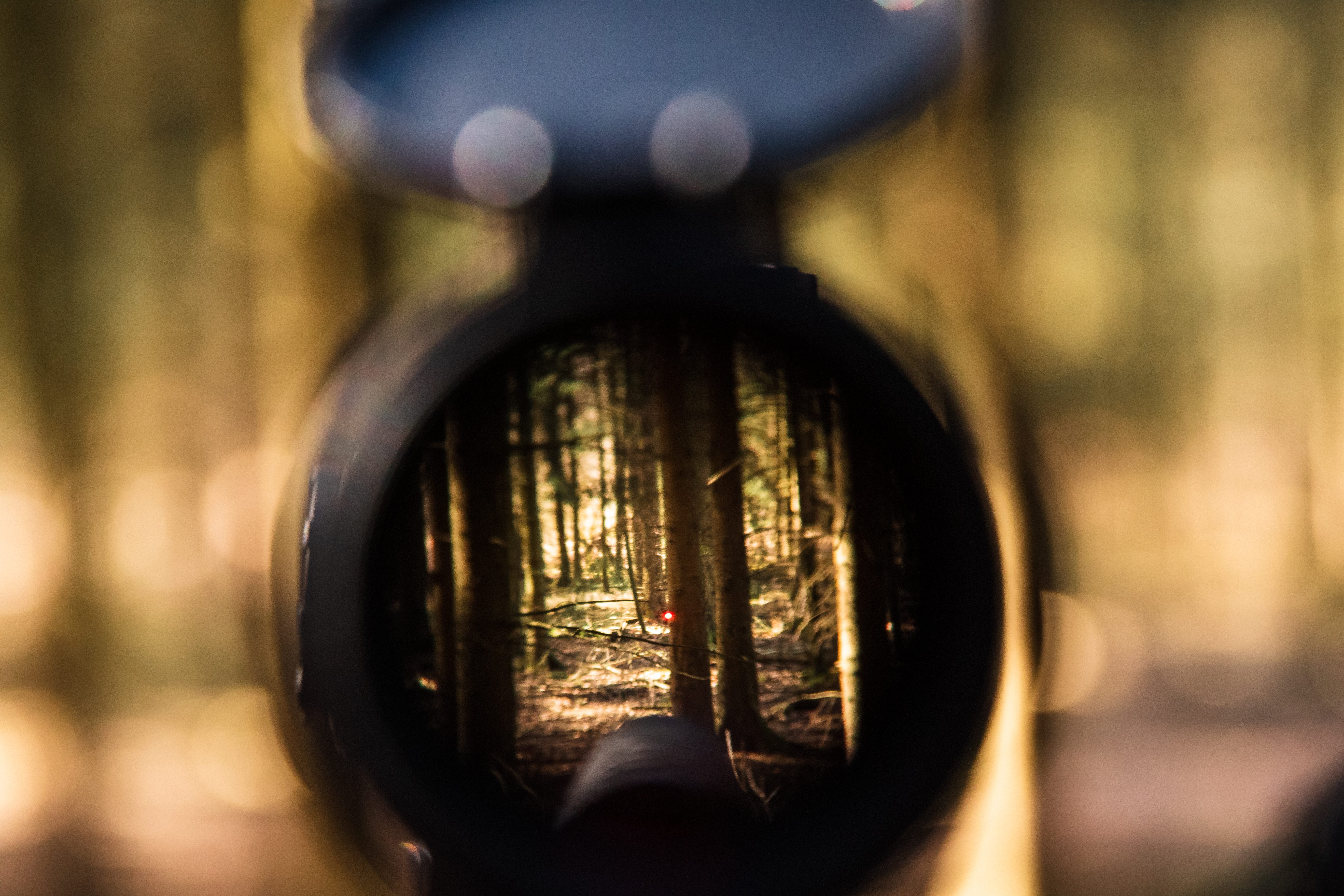 ROEDALE TI42M SCHALLDÄMPFER